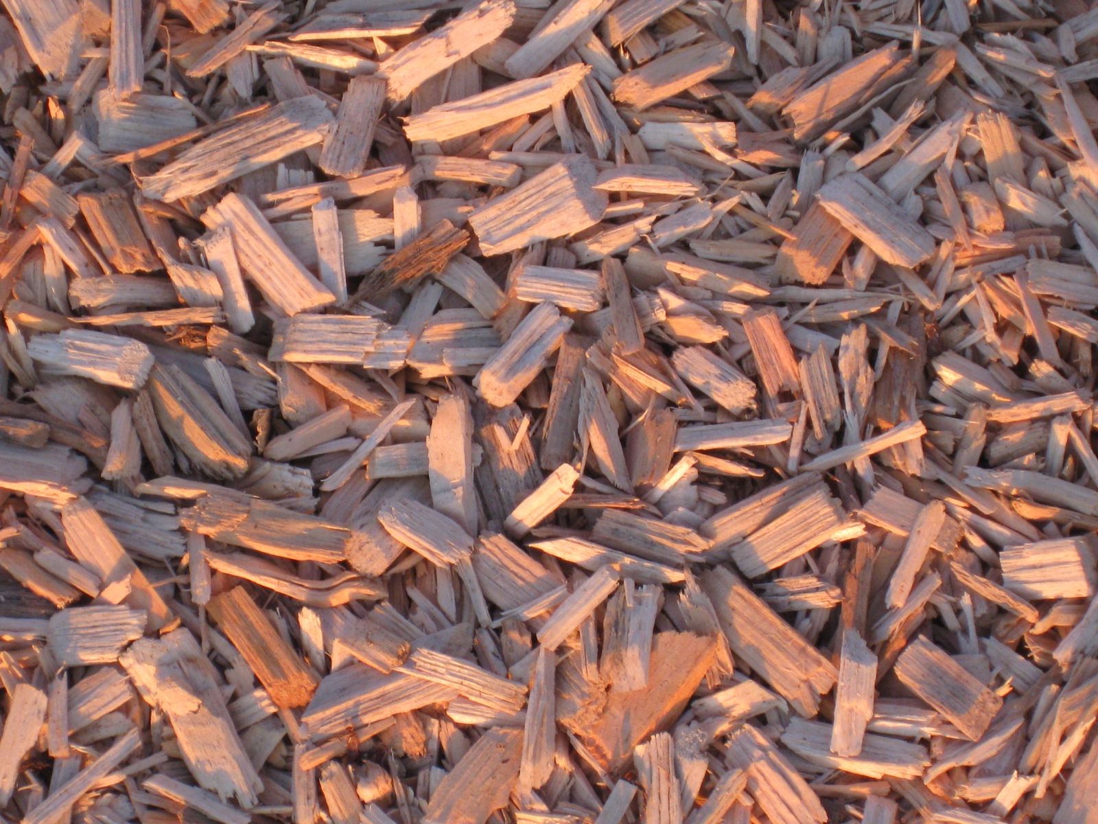 Certified Playground Chips