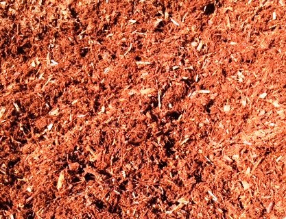 Premium Hemlock Blend